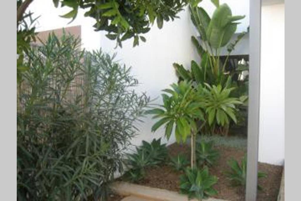 Casa Esparto โรดัลกีลาร์ ภายนอก รูปภาพ